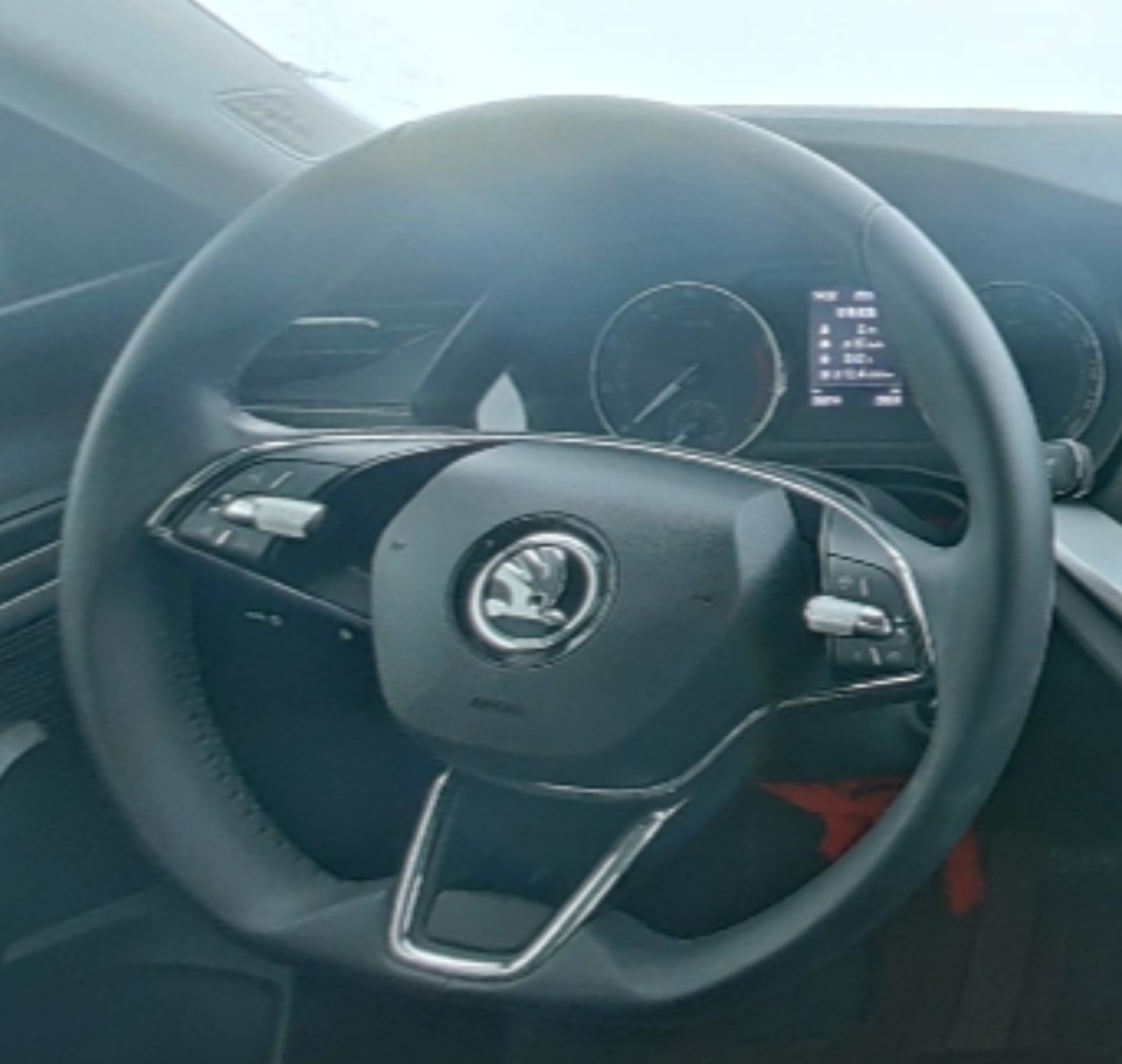 Skoda Sharp and Clear 2022 — фото 10