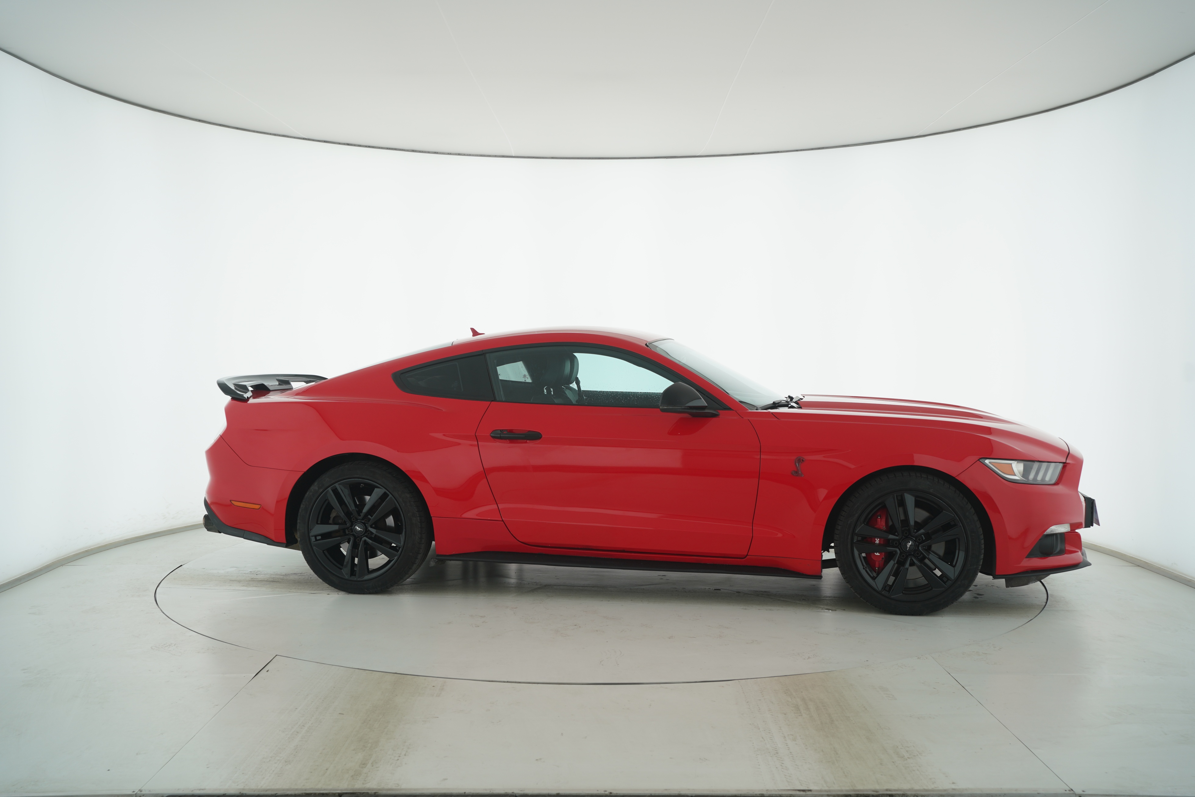 Ford Mustang 2015 — фото 8