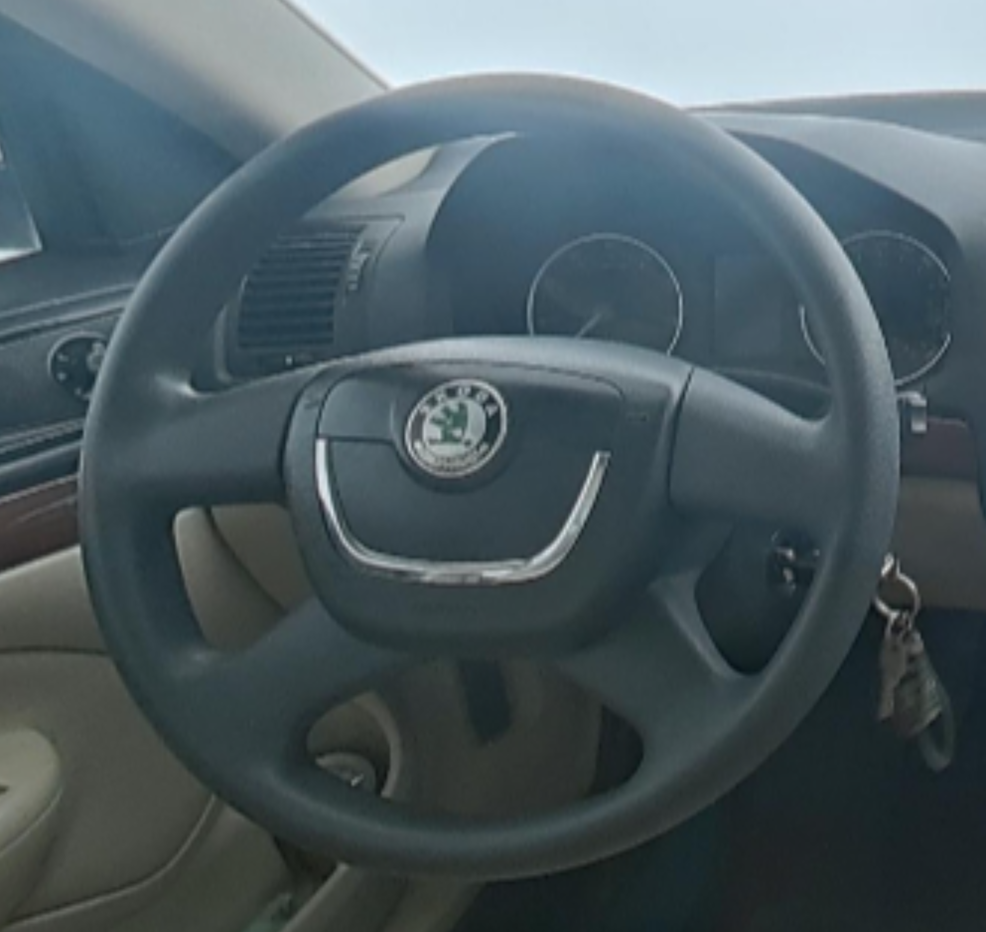Skoda Sharp and Clear 2013 — фото 10
