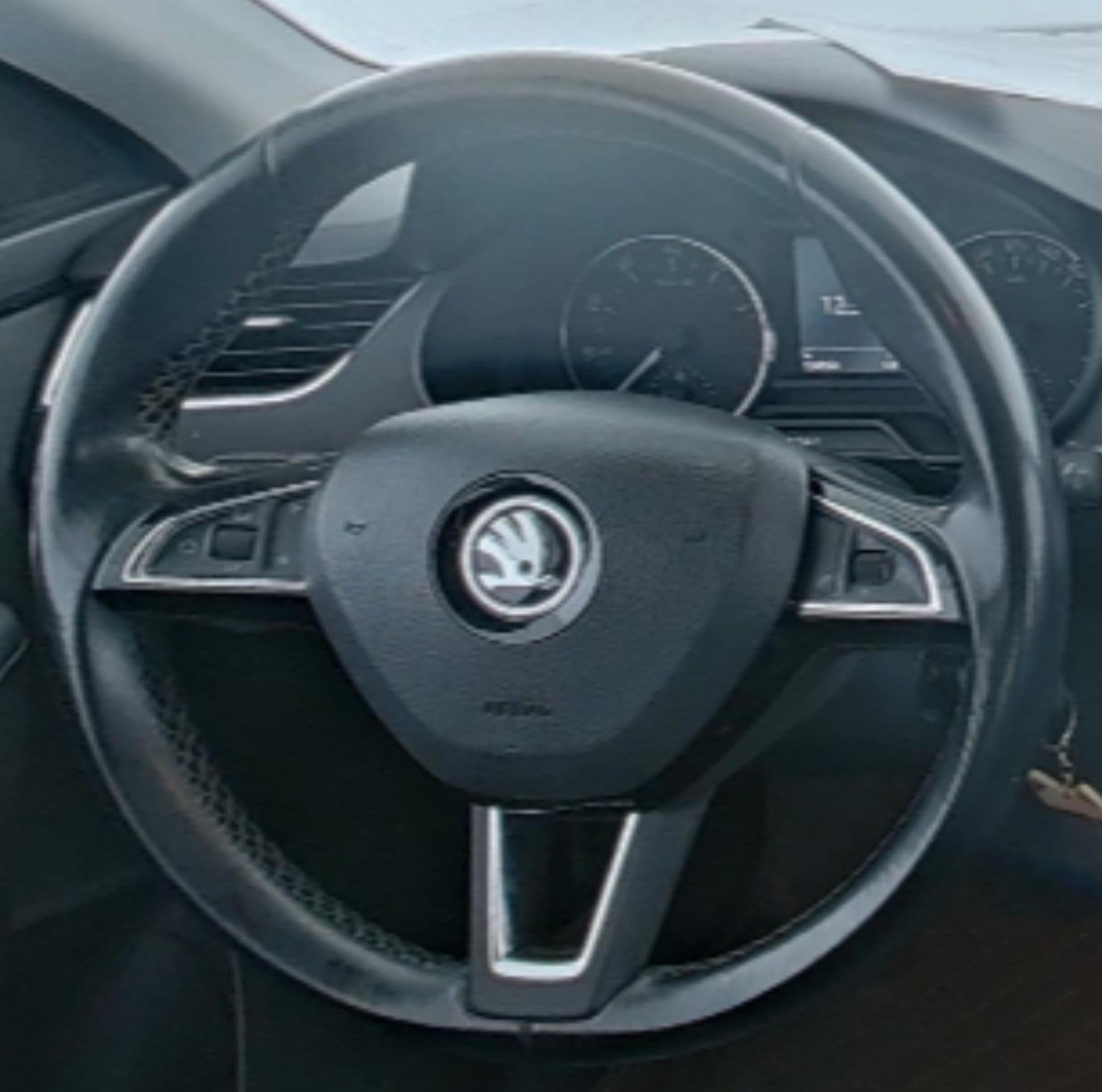 Skoda Sharp and Clear 2017 — фото 10